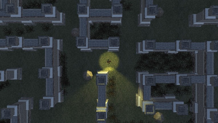 Dark Tale - Lone Survivor Image