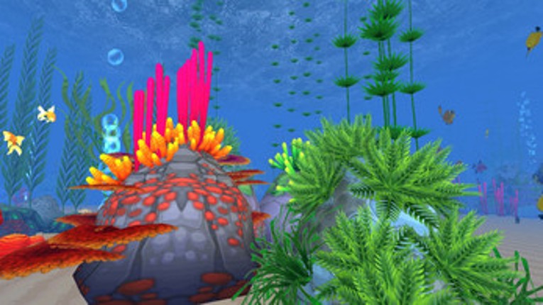 VR Coral Reef Underwater Scuba Diving Image