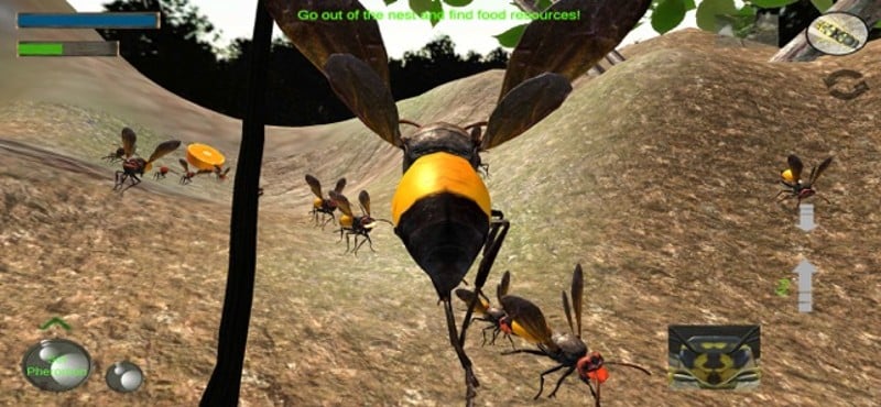 Wasp Nest Simulation Full screenshot