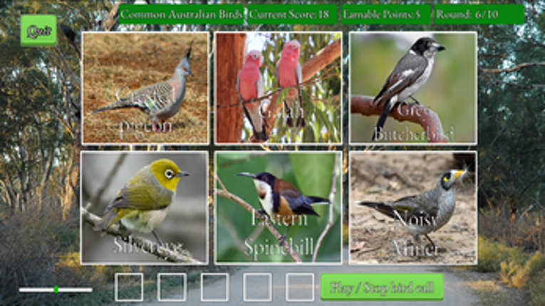 Bird Caller Image