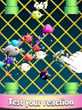 Cool Birds Fun Smash for Kids screenshot