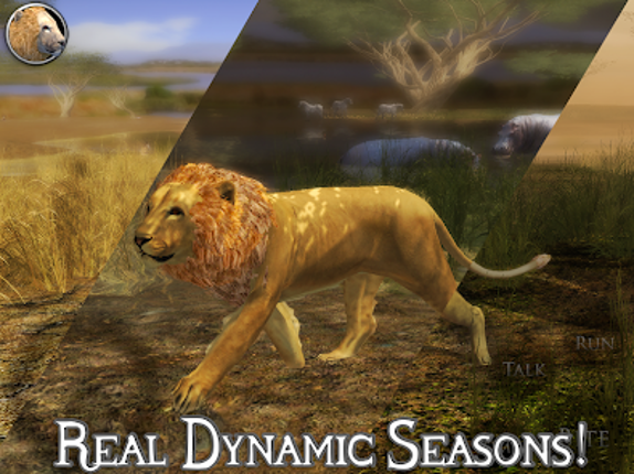 Ultimate Lion Simulator 2 screenshot