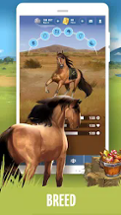 Howrse - Horse Breeding Game Image