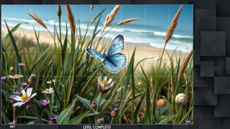 Little Dynasty screenshot