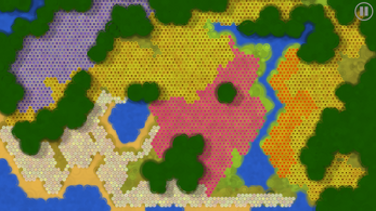 One seed Image