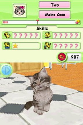 Petz: Catz Playground Image