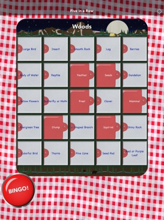 Scavenger Bingo screenshot