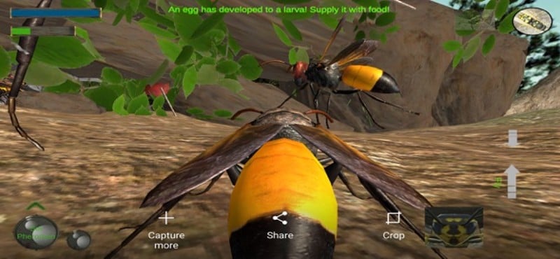 Wasp Nest Simulation Full screenshot