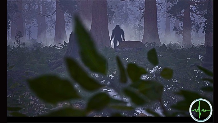 Among The Sierra Nevada Image