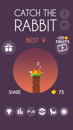 Catch The Rabbit screenshot
