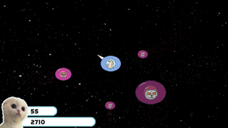 Coots' Astronomical Adventure Image