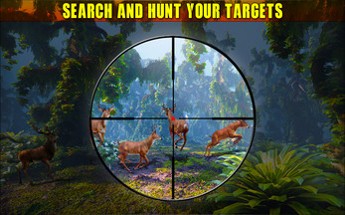 Jungle Deer Hunter Image