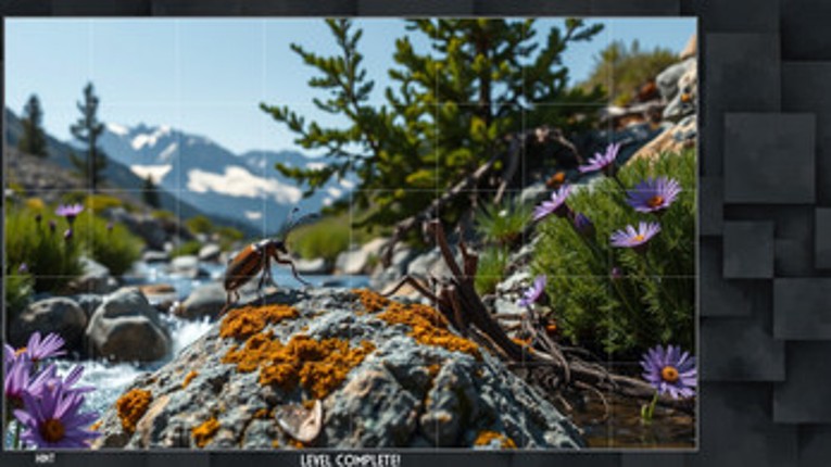 Little Dynasty Image