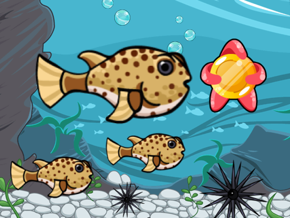 Run Fish Run Game Cover