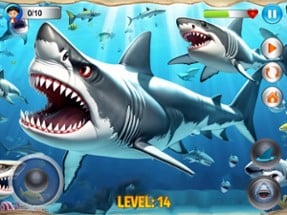 Angry Shark Simulator Games 3d Image