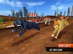 Crazy Wild Black Panther Race Image