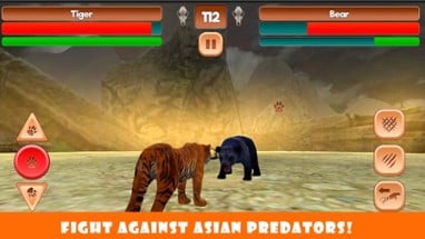 Fighting Tiger Jungle Battle Image