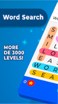 Word Search Image