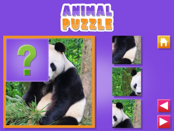 Animal Puzzle Image