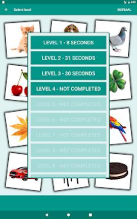 Brain game. Picture Match screenshot