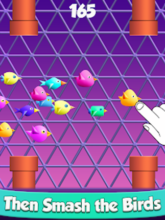 Cool Birds Fun Smash for Kids screenshot