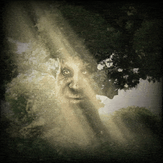 Games like Wise Mystical Tree