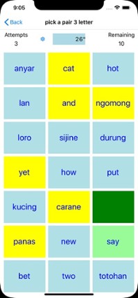 PickAPair Javanese - English screenshot