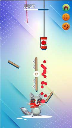 Raccoon Challenge Image