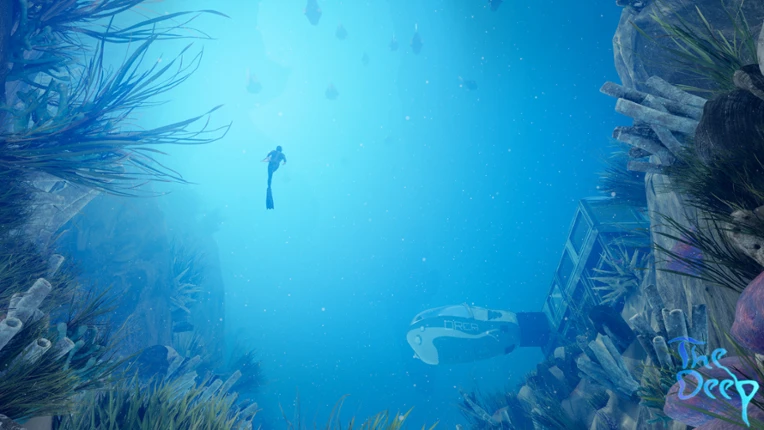 The Deep Image