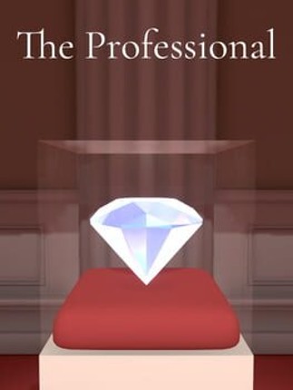 The Professional Image