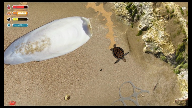 Turtle Quest screenshot