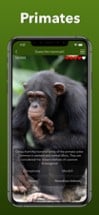 Animals Kingdom: Zoo Wild Quiz Image