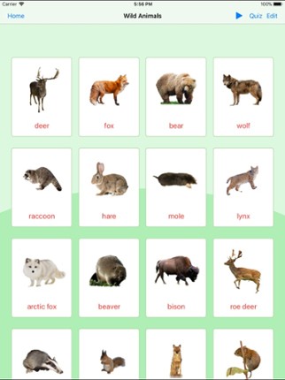 Animals Learning Cards screenshot
