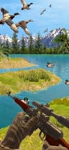 Duck Hunting - Shooting Game Image