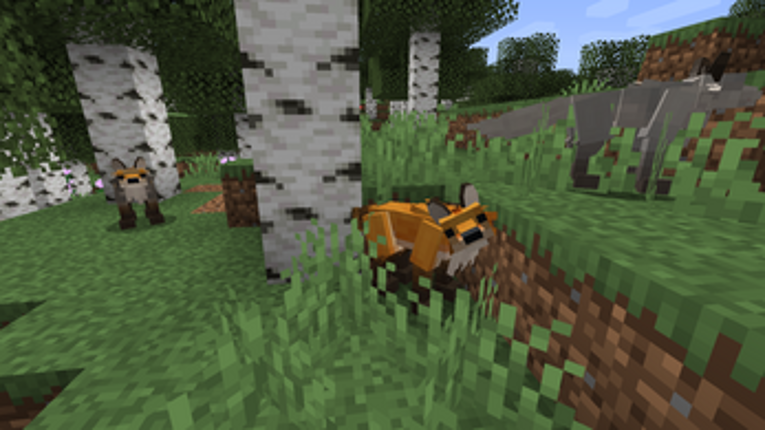 Forest Craft Image