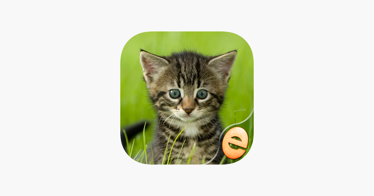 Games like Jigsaw Wonder Kittens Puzzles for Kids Free