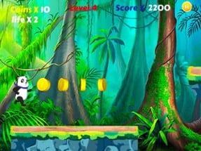 Panda Ninja Run in Jungle Image