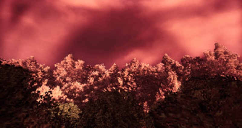 THE HUNT screenshot