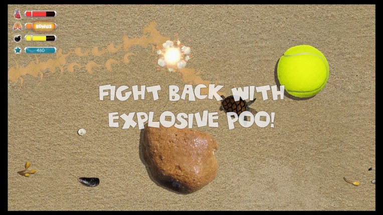 Turtle Quest screenshot