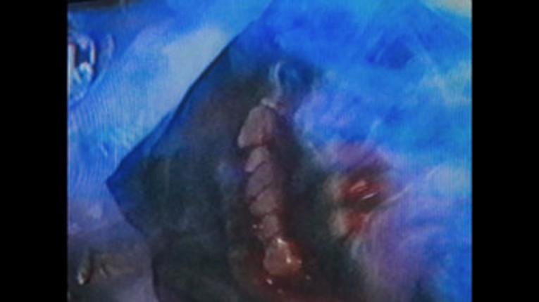 Dead Format screenshot