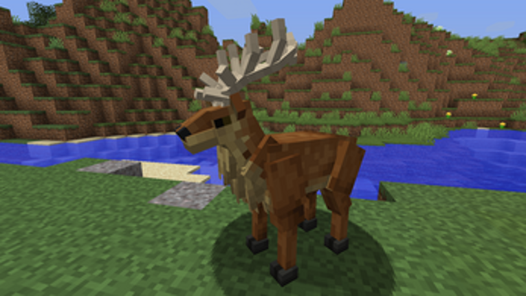 Forest Craft Image