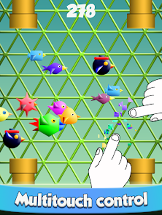 Cool Birds Fun Smash for Kids Image