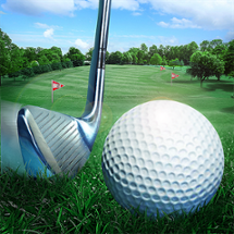 Golf Master 3D Image