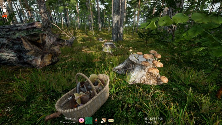 Mushroom Season screenshot