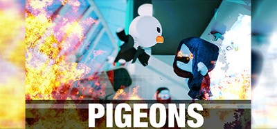 PIGEONS Image