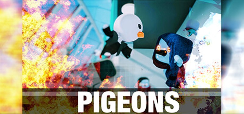 PIGEONS Image