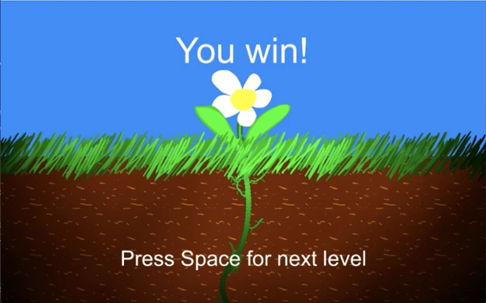 Seed Image