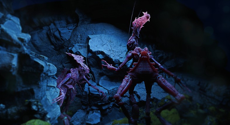 Sifera screenshot