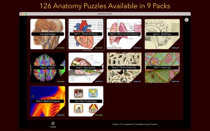 Anatomy Puzzles screenshot