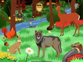 Animals Catcher Kids Game Image